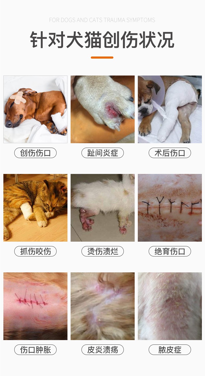 犬猫创伤现象