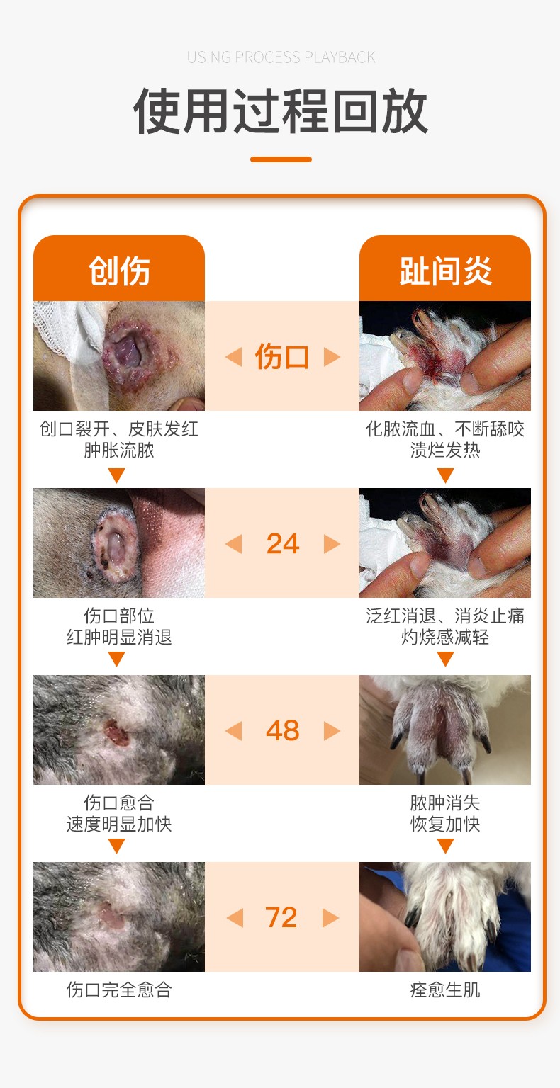 创立得使用方法