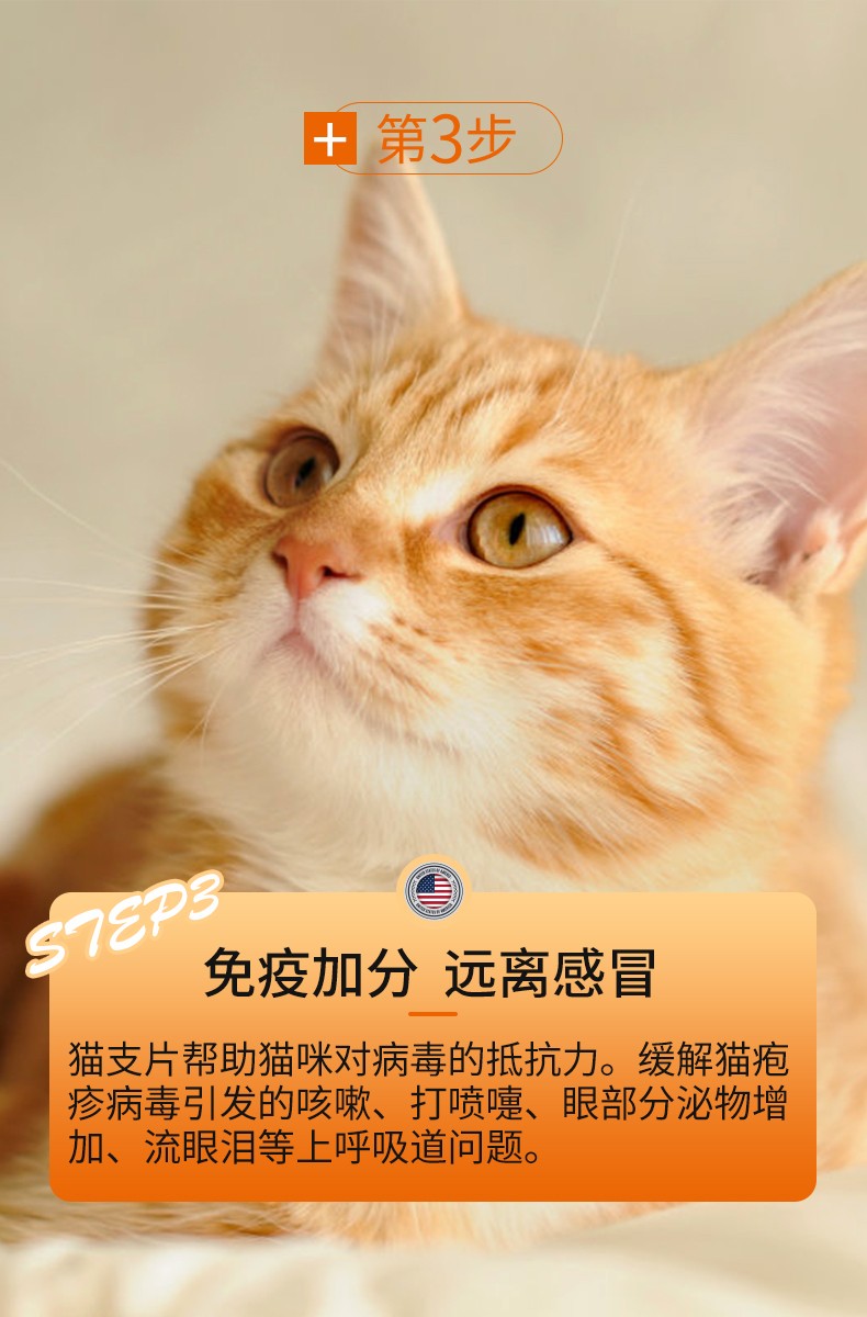 猫咪咳嗽打喷嚏