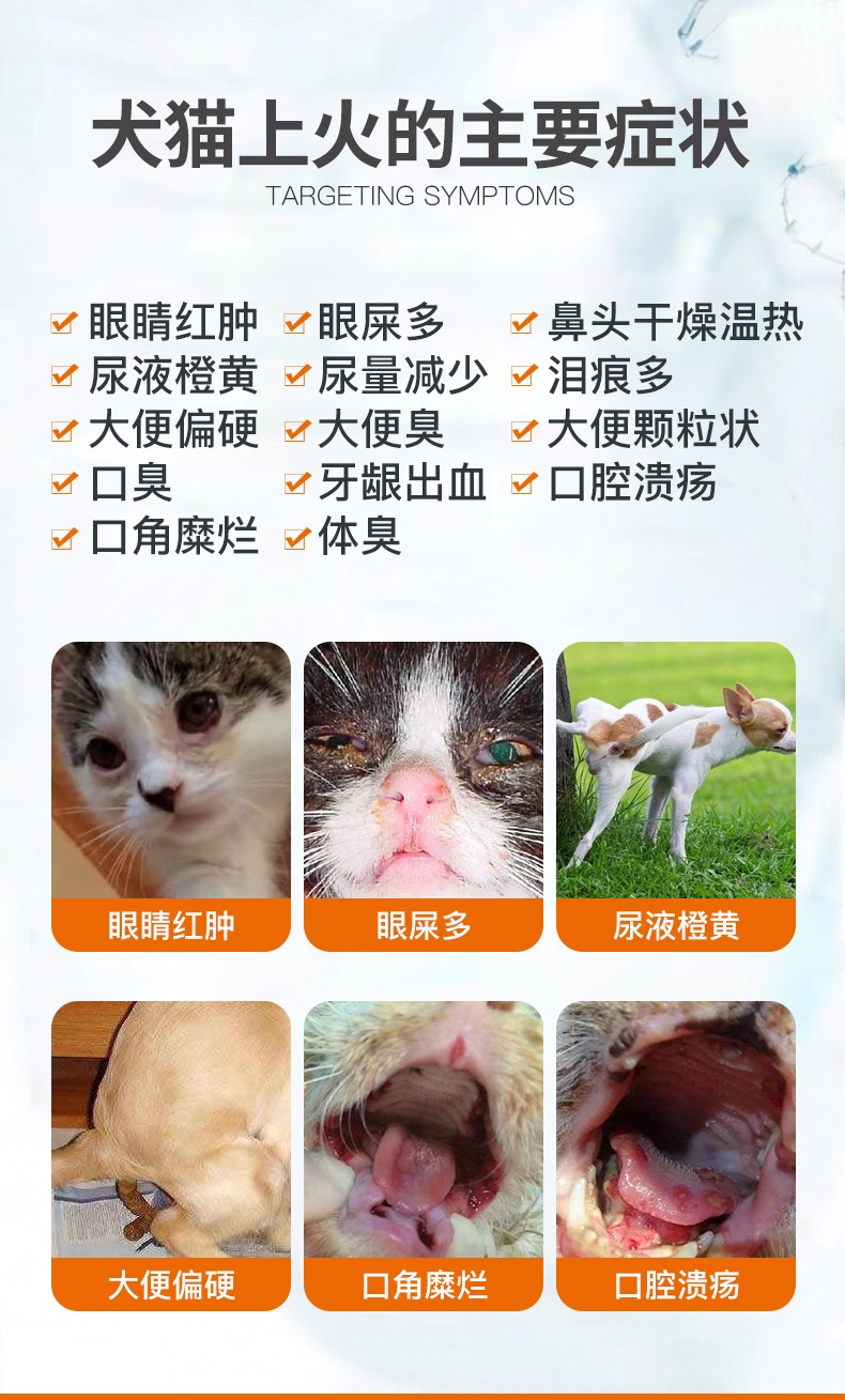 犬猫上火症状