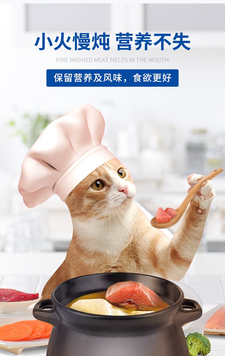 猫咪食欲好