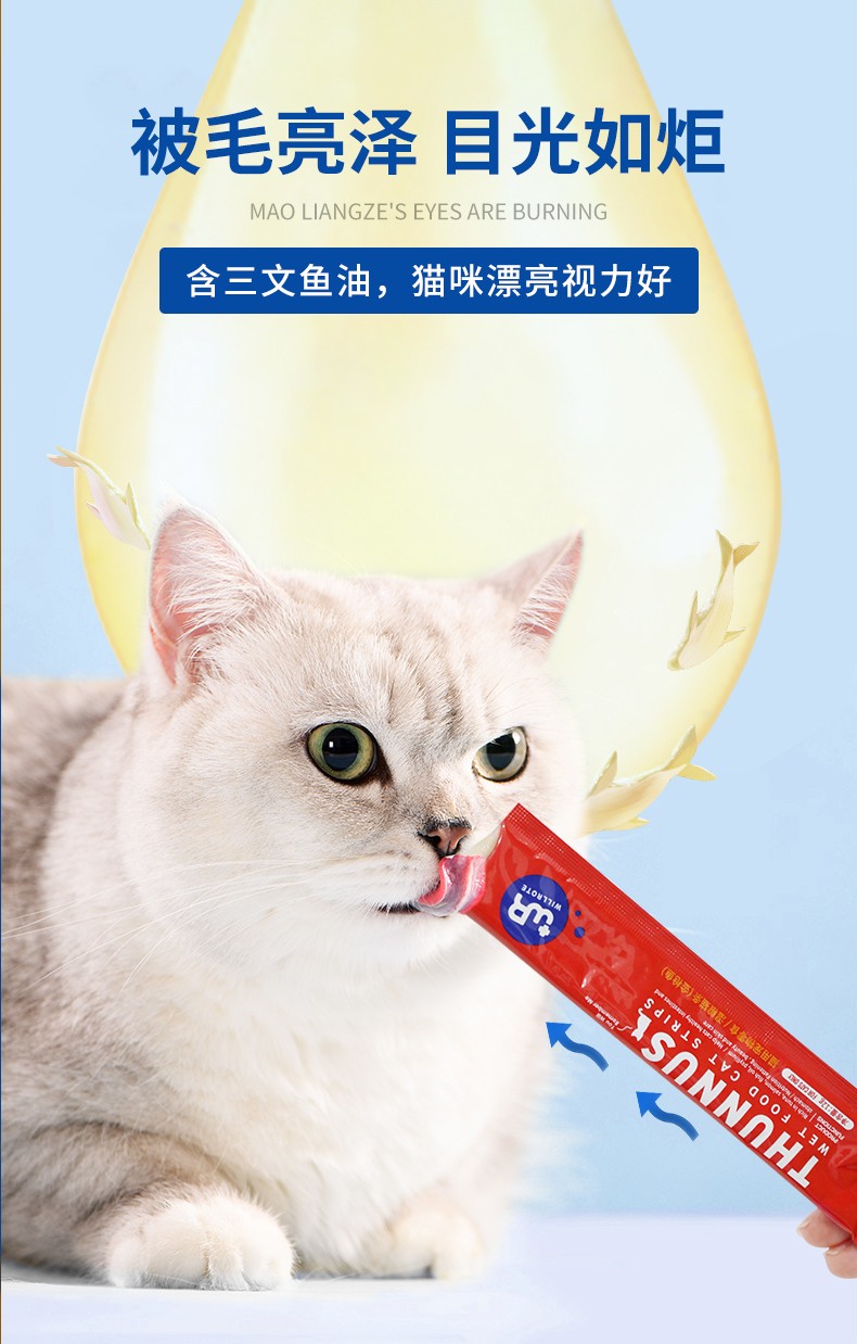 猫咪视力好