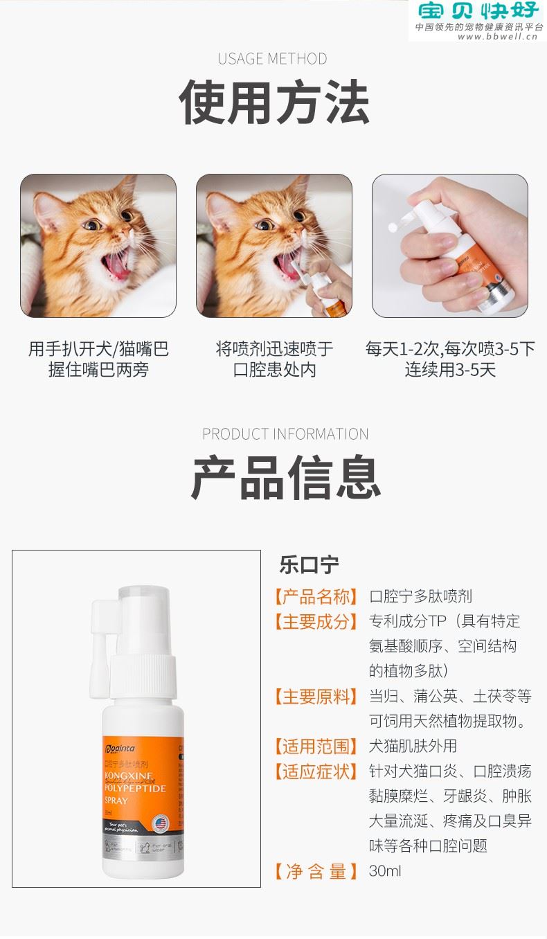 猫牙齿松动怎么办